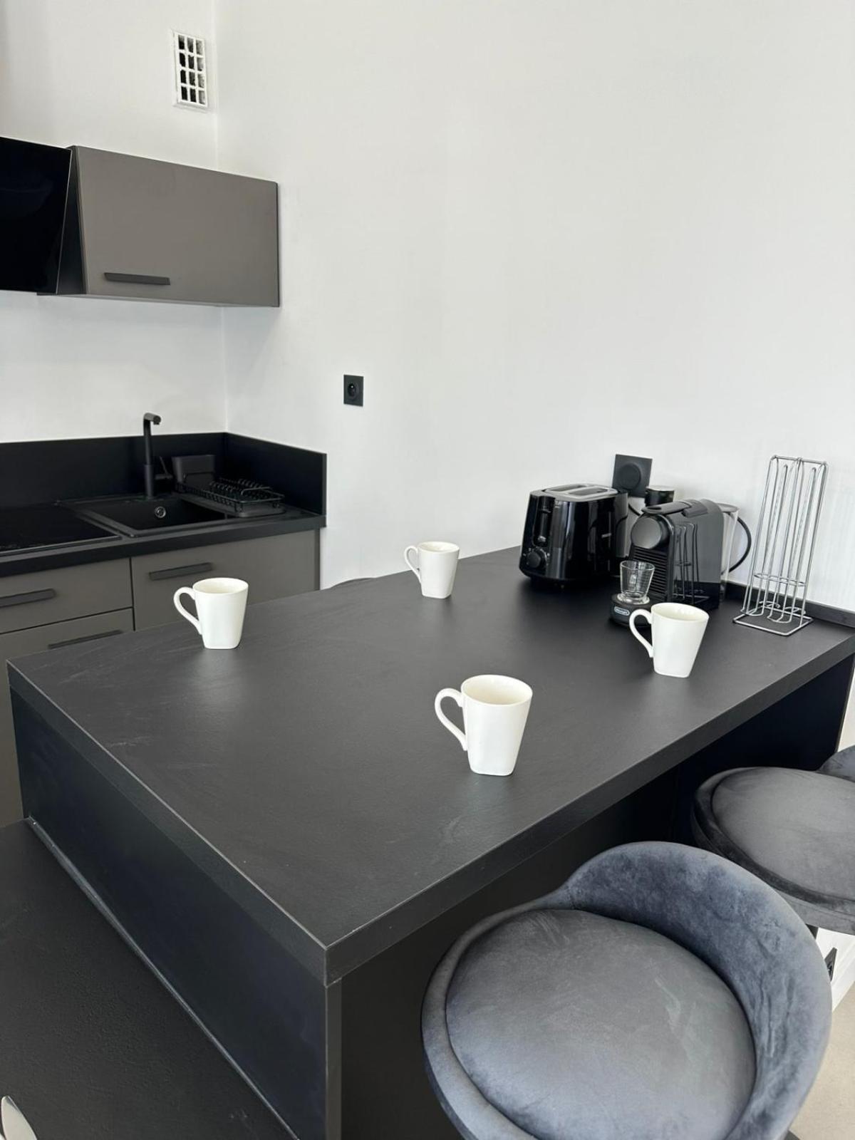 Contemporary For 4 People With Balcony Near Gratte-ciel Villeurb Appartement *
